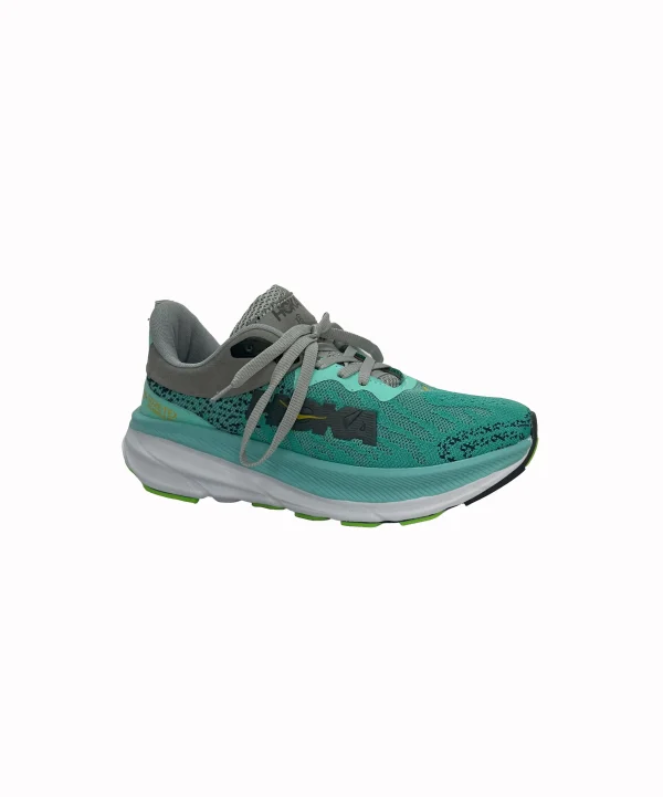 کفش هوکا goretex