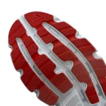 کفش مردانه ساکانی